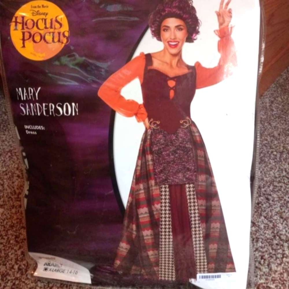 Mary Sanderson Costume